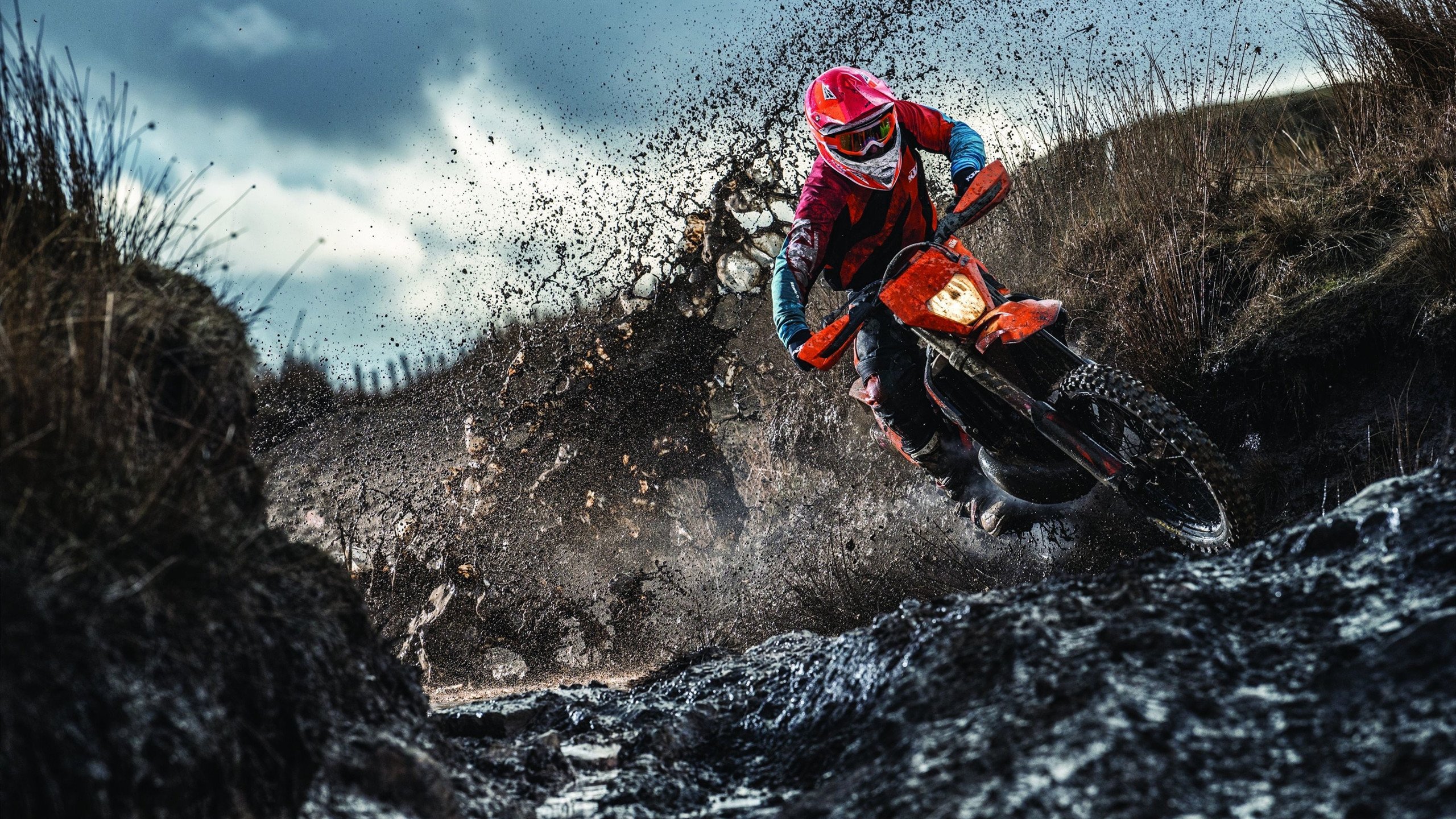 苏炳添赛后谦逊发言登热搜，多特蒙德大胜那不勒斯引发热议(世俱杯多特蒙德vs蒙特雷)